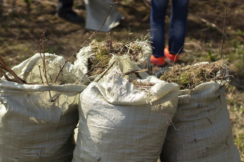 Rubbish Removal in Auburn, CA